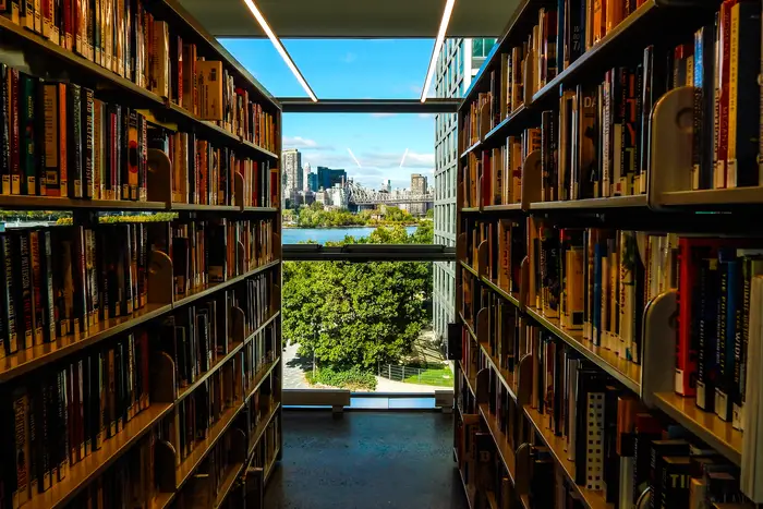 Library with a view